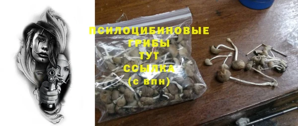 прущие грибы Алексеевка