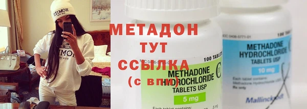 прущие грибы Алексеевка