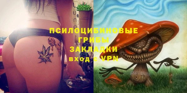 прущие грибы Алексеевка